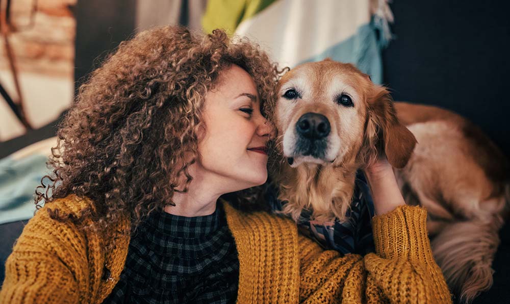 Pet Friendly Homes at Jodeco Landing in McDonough, GA